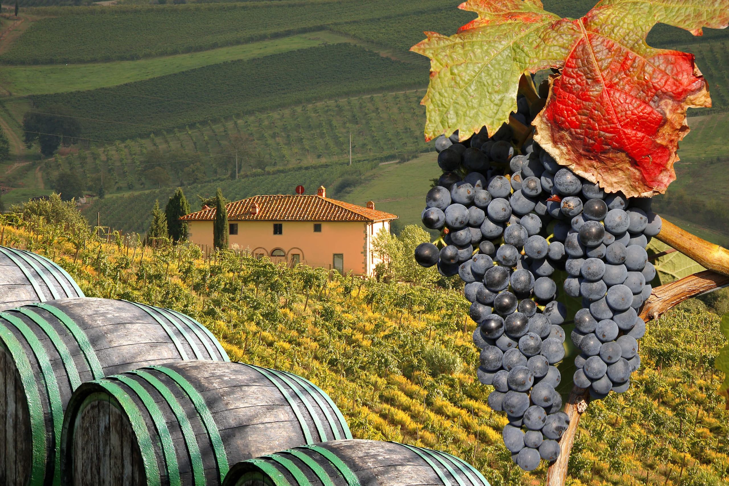 Chianti countryside landscape ideal for a week-long villa itinerary