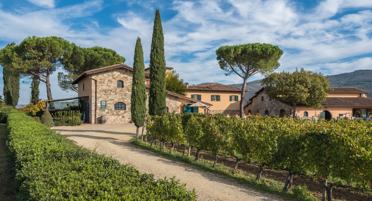 Olive groves and hillside villa