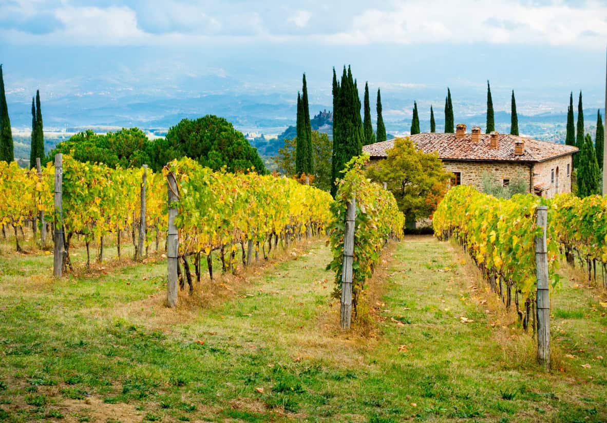 Chianti farm cellar evening with vines beyond the courtyard